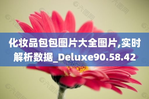 化妆品包包图片大全图片,实时解析数据_Deluxe90.58.42