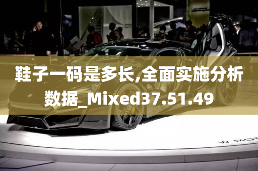 鞋子一码是多长,全面实施分析数据_Mixed37.51.49