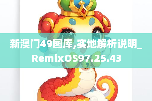 新澳门49图库,实地解析说明_RemixOS97.25.43