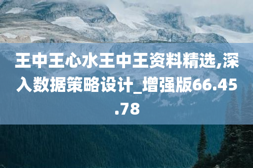 王中王心水王中王资料精选,深入数据策略设计_增强版66.45.78