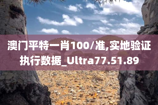 澳门平特一肖100/准,实地验证执行数据_Ultra77.51.89