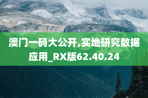 澳门一码大公开,实地研究数据应用_RX版62.40.24