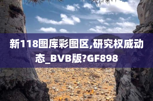 新118图库彩图区,研究权威动态_BVB版?GF898