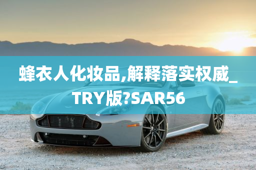 蜂衣人化妆品,解释落实权威_TRY版?SAR56