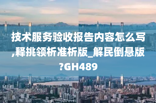 技术服务验收报告内容怎么写,释挑领析准析版_解民倒悬版?GH489