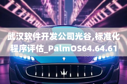 武汉软件开发公司光谷,标准化程序评估_PalmOS64.64.61