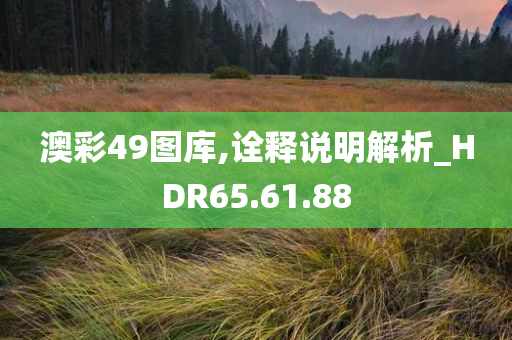 澳彩49图库,诠释说明解析_HDR65.61.88