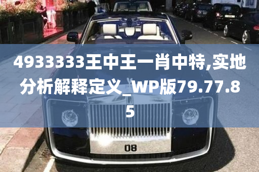 4933333王中王一肖中特,实地分析解释定义_WP版79.77.85