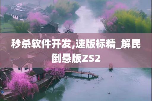 秒杀软件开发,速版标精_解民倒悬版ZS2