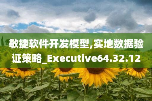 敏捷软件开发模型,实地数据验证策略_Executive64.32.12