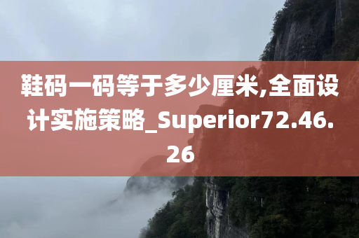 鞋码一码等于多少厘米,全面设计实施策略_Superior72.46.26