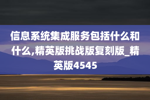 信息系统集成服务包括什么和什么,精英版挑战版复刻版_精英版4545