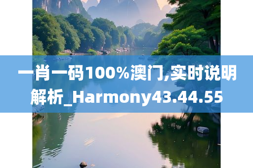 一肖一码100%澳门,实时说明解析_Harmony43.44.55