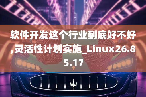 软件开发这个行业到底好不好,灵活性计划实施_Linux26.85.17