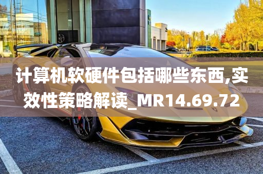 计算机软硬件包括哪些东西,实效性策略解读_MR14.69.72