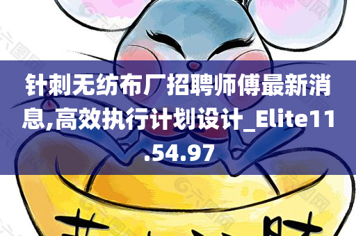 针刺无纺布厂招聘师傅最新消息,高效执行计划设计_Elite11.54.97