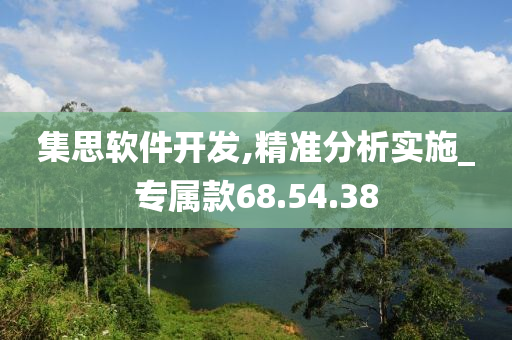 集思软件开发,精准分析实施_专属款68.54.38