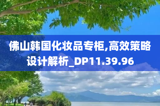 佛山韩国化妆品专柜,高效策略设计解析_DP11.39.96