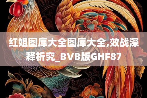 红姐图库大全图库大全,效战深释析究_BVB版GHF87