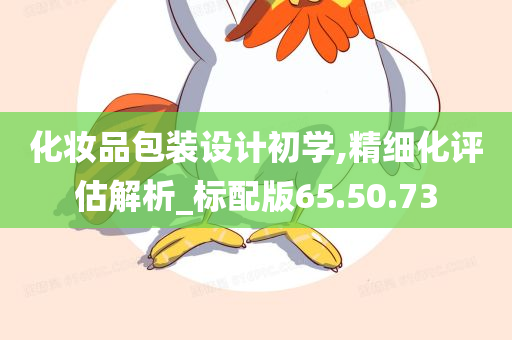 化妆品包装设计初学,精细化评估解析_标配版65.50.73