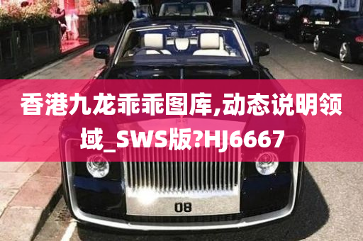 香港九龙乖乖图库,动态说明领域_SWS版?HJ6667