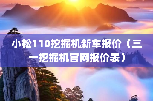 小松110挖掘机新车报价（三一挖掘机官网报价表）