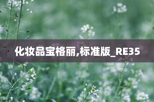 化妆品宝格丽,标准版_RE35