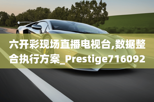 六开彩现场直播电视台,数据整合执行方案_Prestige716092