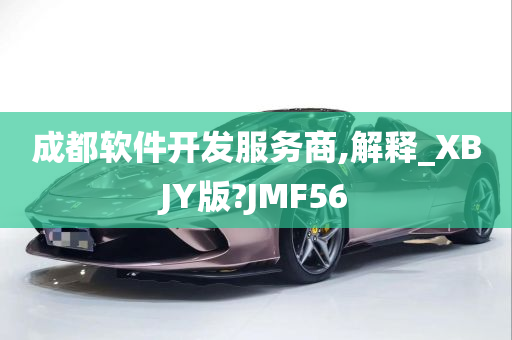 成都软件开发服务商,解释_XBJY版?JMF56