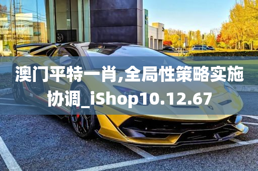 澳门平特一肖,全局性策略实施协调_iShop10.12.67