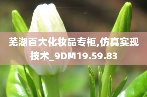 芜湖百大化妆品专柜,仿真实现技术_9DM19.59.83