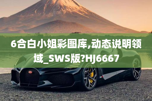 6合白小姐彩图库,动态说明领域_SWS版?HJ6667