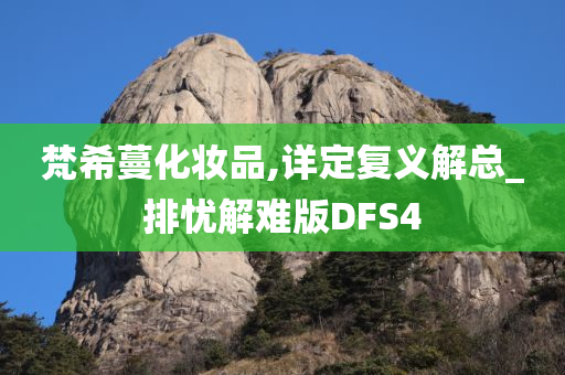 梵希蔓化妆品,详定复义解总_排忧解难版DFS4