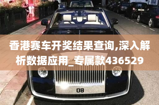 香港赛车开奖结果查询,深入解析数据应用_专属款436529