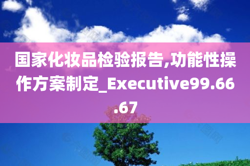 国家化妆品检验报告,功能性操作方案制定_Executive99.66.67