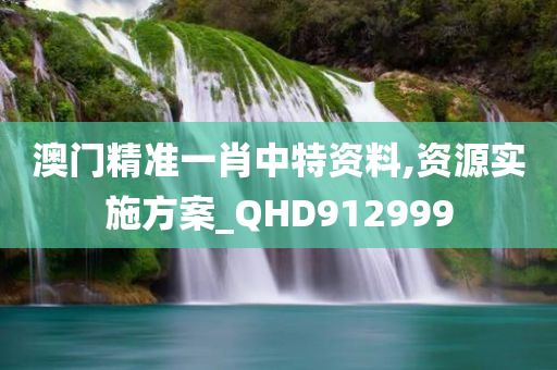 澳门精准一肖中特资料,资源实施方案_QHD912999