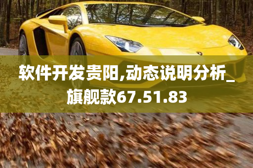 软件开发贵阳,动态说明分析_旗舰款67.51.83