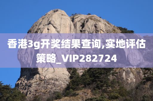 香港3g开奖结果查询,实地评估策略_VIP282724