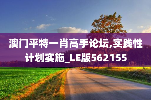 澳门平特一肖高手论坛,实践性计划实施_LE版562155