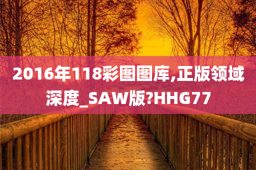 2016年118彩图图库,正版领域深度_SAW版?HHG77