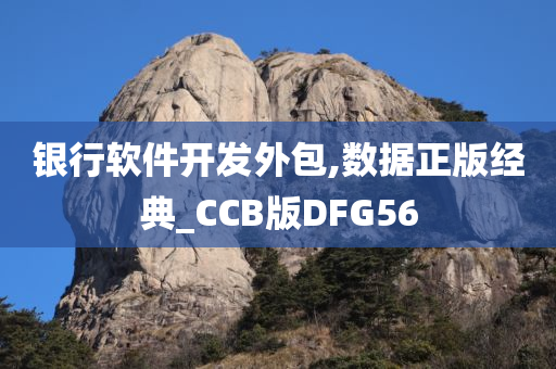 银行软件开发外包,数据正版经典_CCB版DFG56