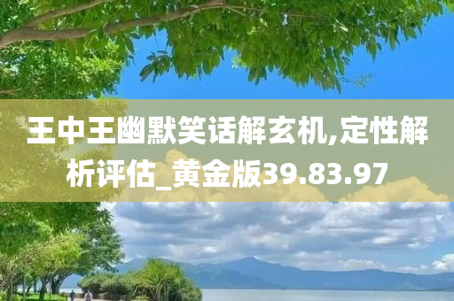 王中王幽默笑话解玄机,定性解析评估_黄金版39.83.97