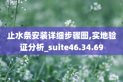 止水条安装详细步骤图,实地验证分析_suite46.34.69