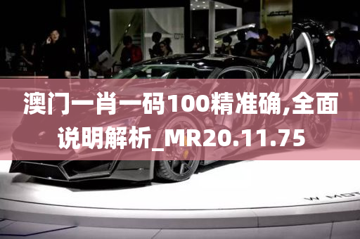 澳门一肖一码100精准确,全面说明解析_MR20.11.75