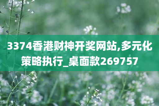 3374香港财神开奖网站,多元化策略执行_桌面款269757