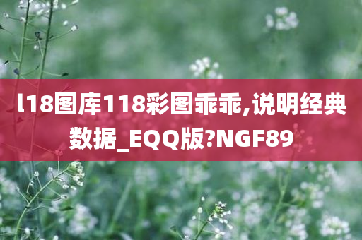 l18图库118彩图乖乖,说明经典数据_EQQ版?NGF89