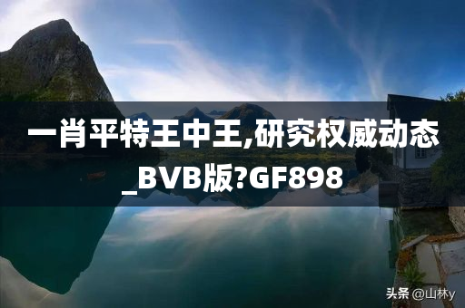 一肖平特王中王,研究权威动态_BVB版?GF898