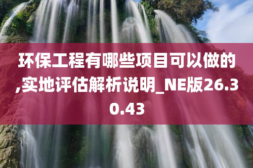 环保工程有哪些项目可以做的,实地评估解析说明_NE版26.30.43