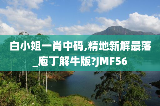 白小姐一肖中码,精地新解最落_庖丁解牛版?JMF56