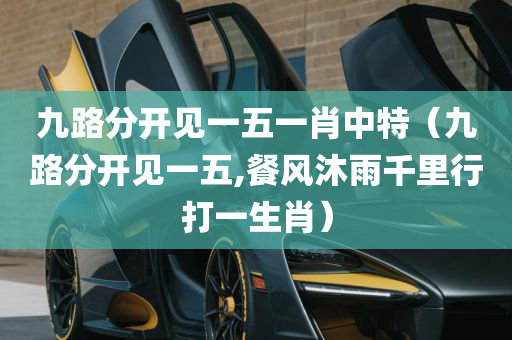 九路分开见一五一肖中特（九路分开见一五,餐风沐雨千里行打一生肖）